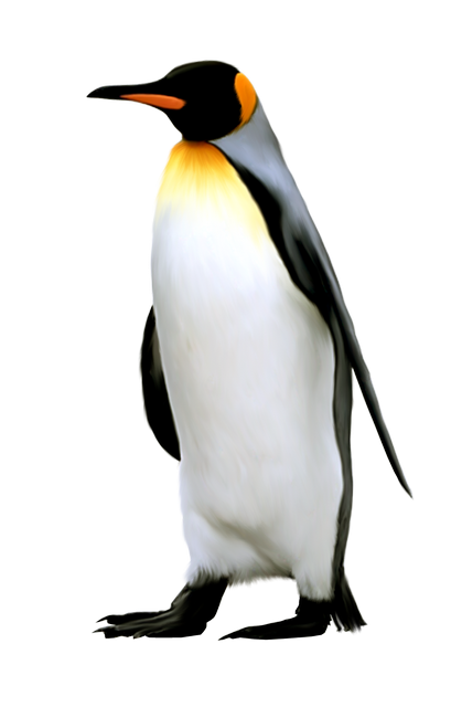 penguin